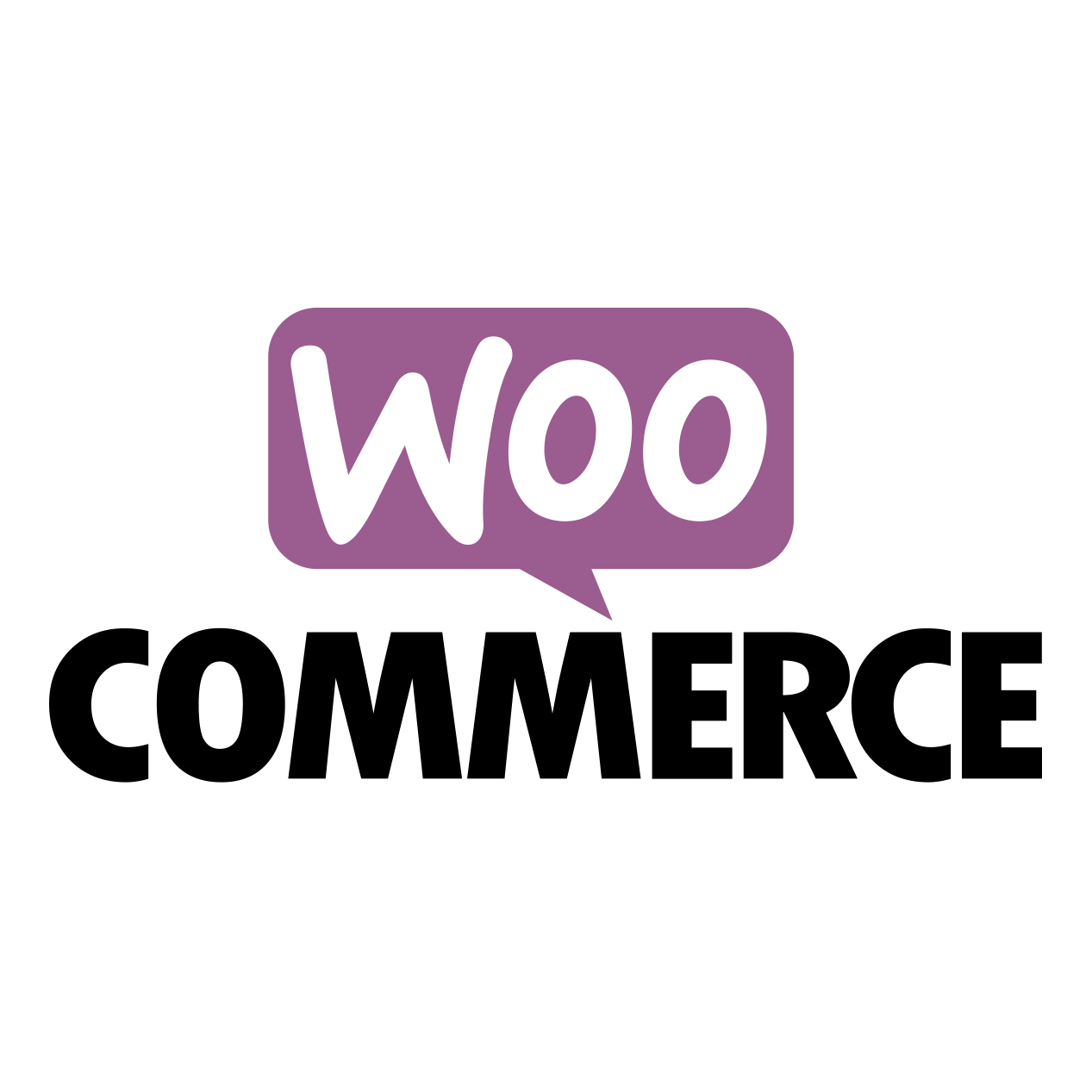 Best WooCommerce Development Company