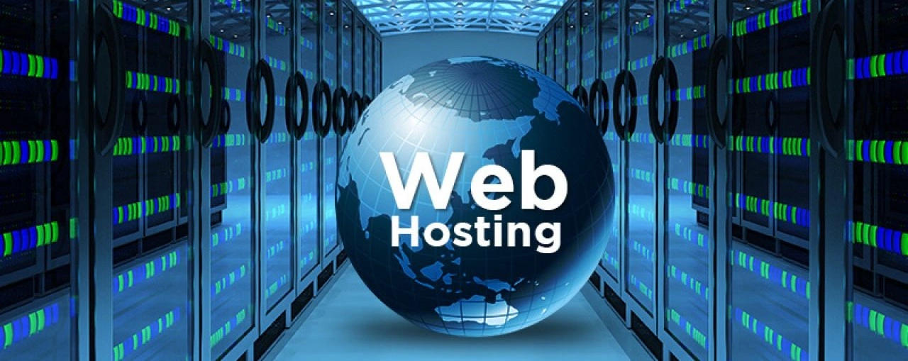 Hosting & Domain Services