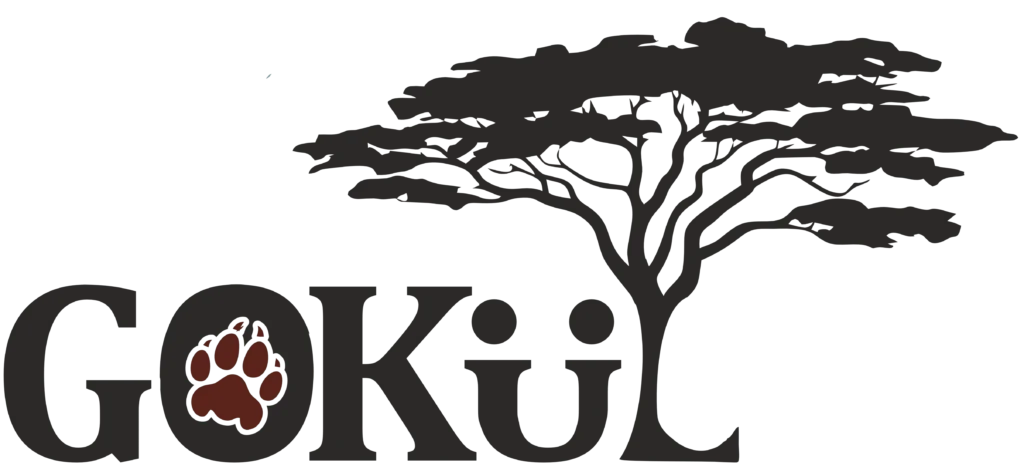 girGokul